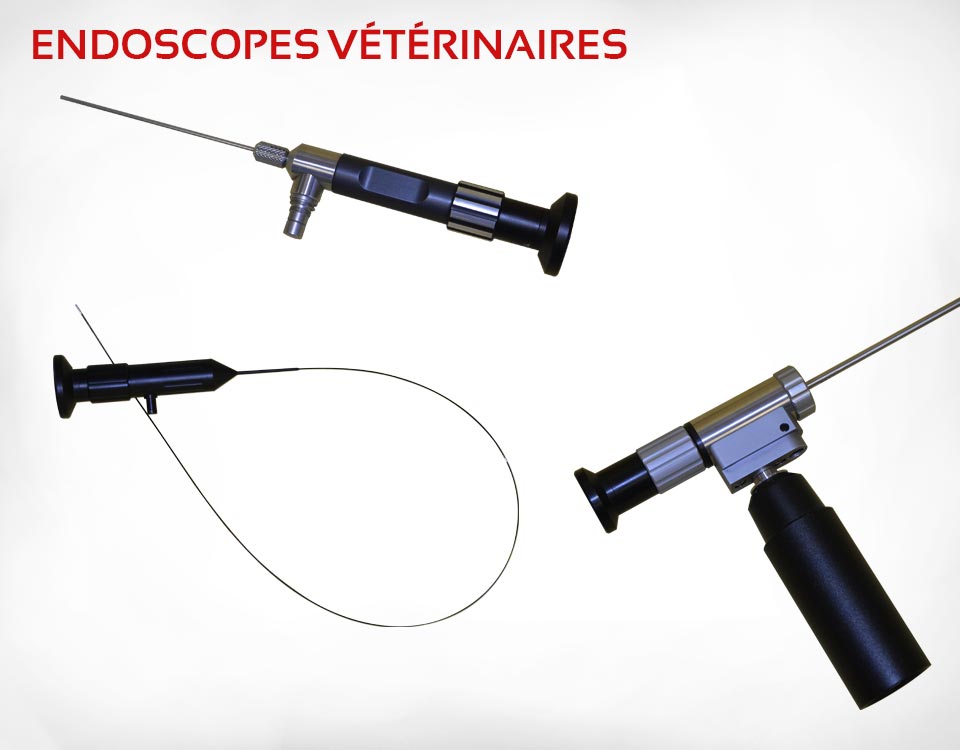 Fibroscopes vétérinaires